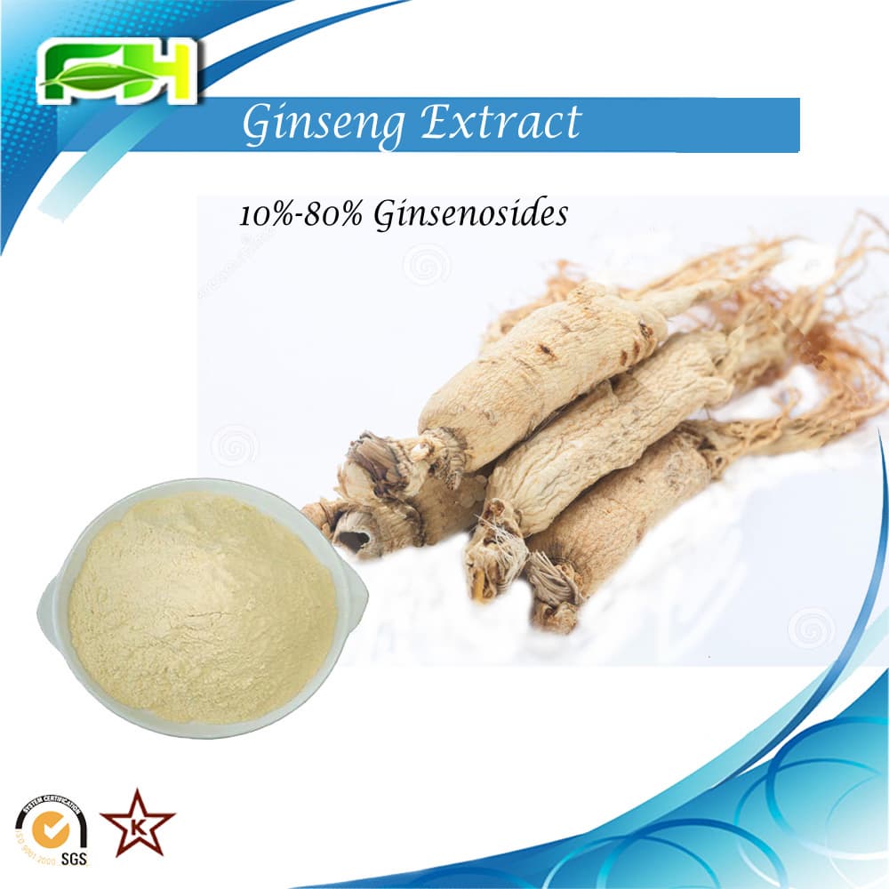Panax ginseng_10__80_ Ginsenosides_ Ginseng extract